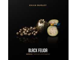 Табак Khan Burley Black Feijoa (Фейхоа Черная Смородина) 40г Акцизный